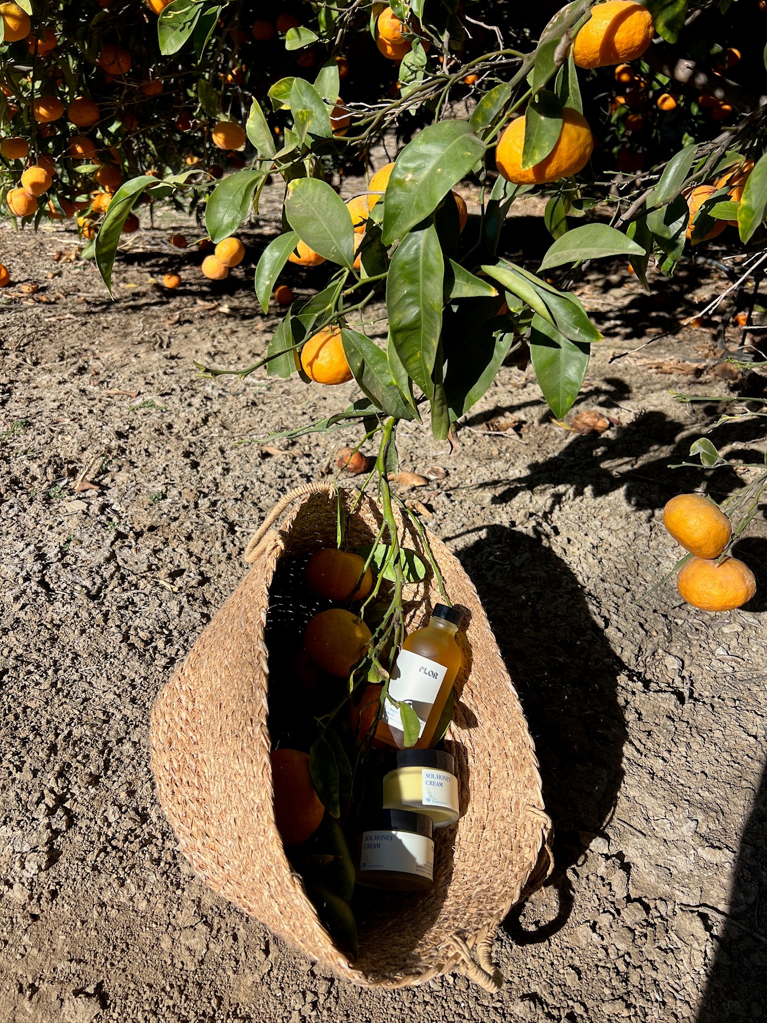 New! Sol Honey Cream